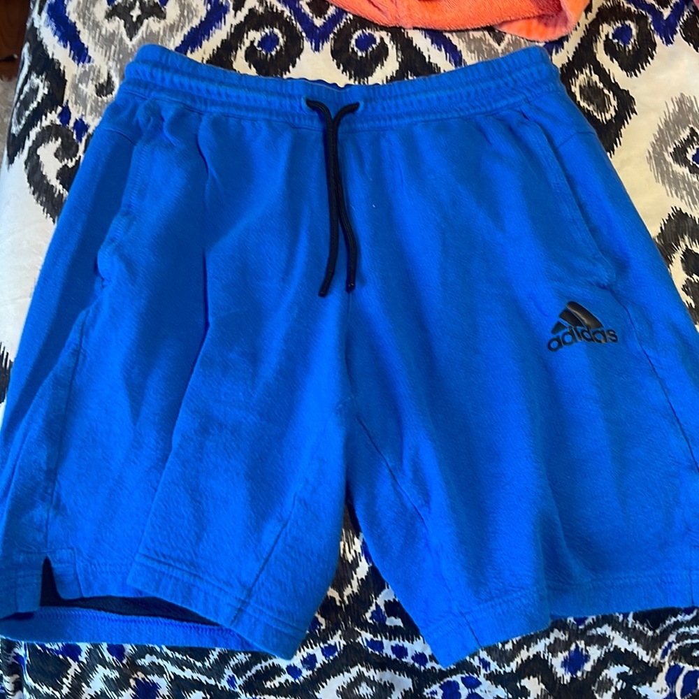 Adidas Men’s Shorts (Small)